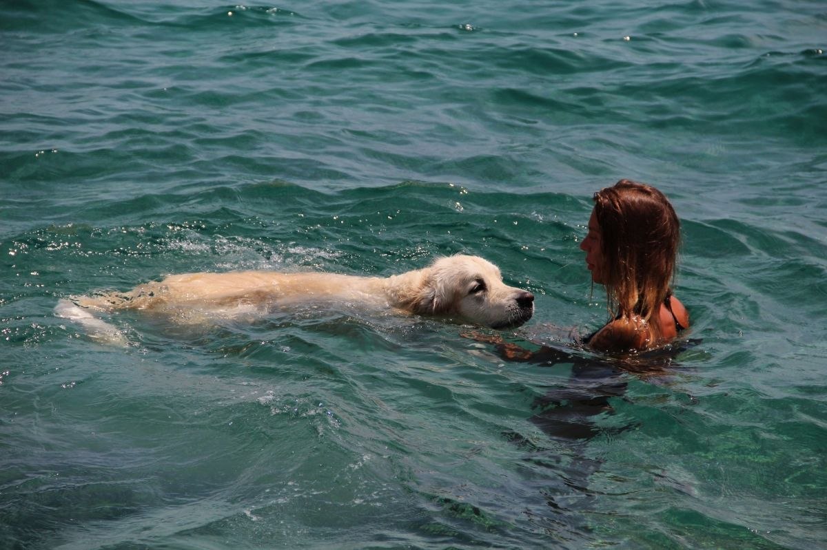Konyaaltı sahili Rus turist ve köpeğine kaldı
