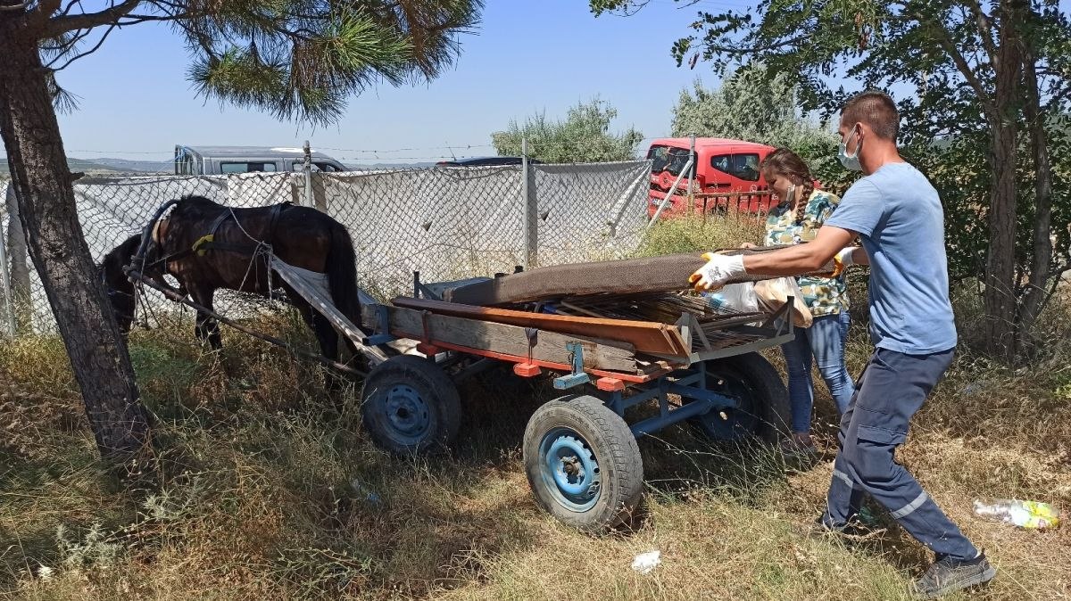 Edirne'de şiddet gören köpeği almaya giderken, eziyet edilen yaralı atı da kurtardılar