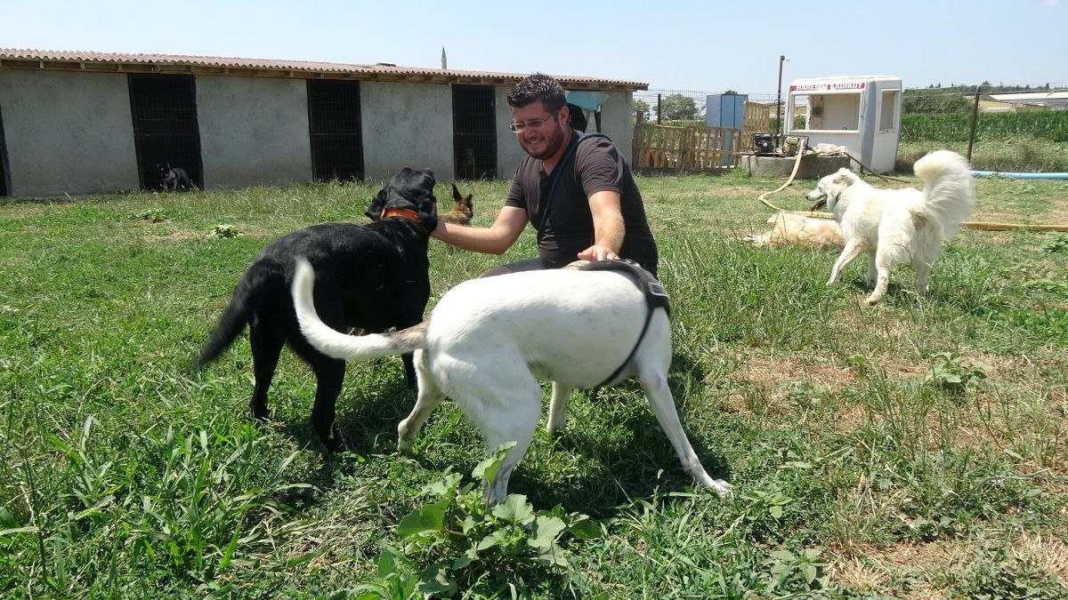 Edirne'de hayvan otelleri de tatil nedeniyle doldu