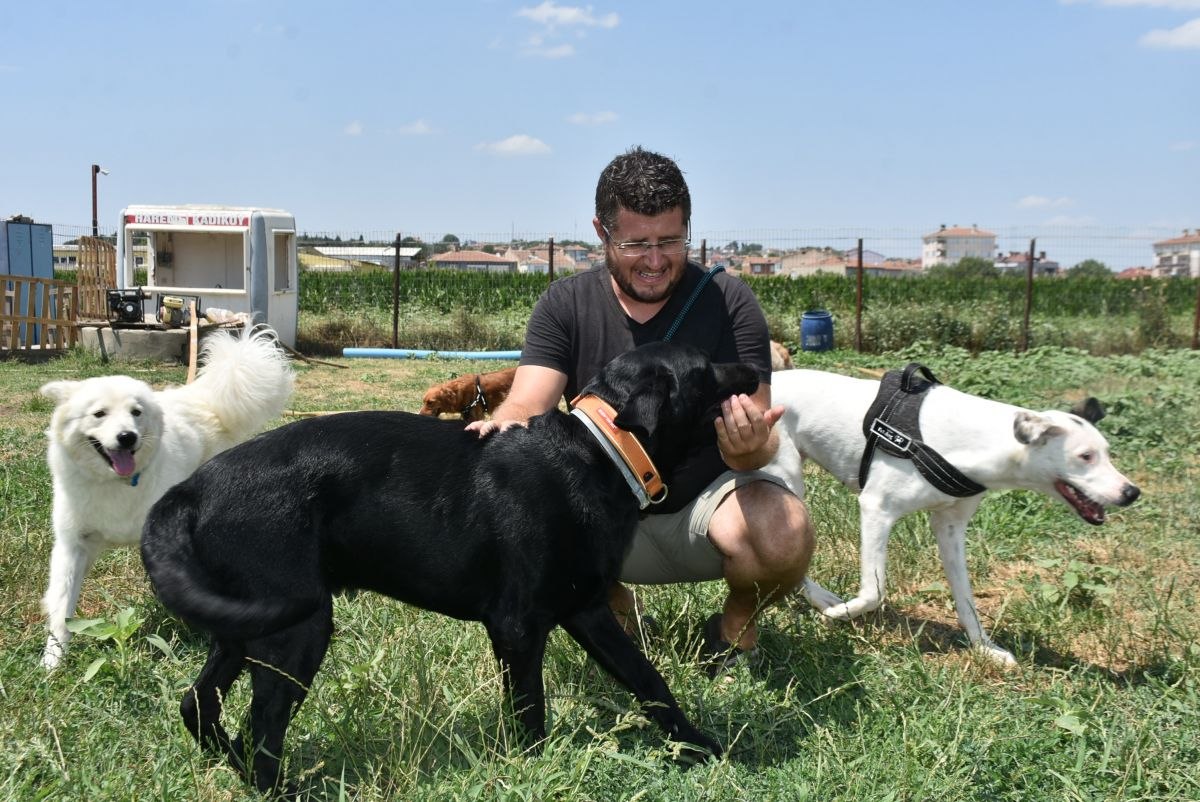 Edirne'de hayvan otelleri de tatil nedeniyle doldu