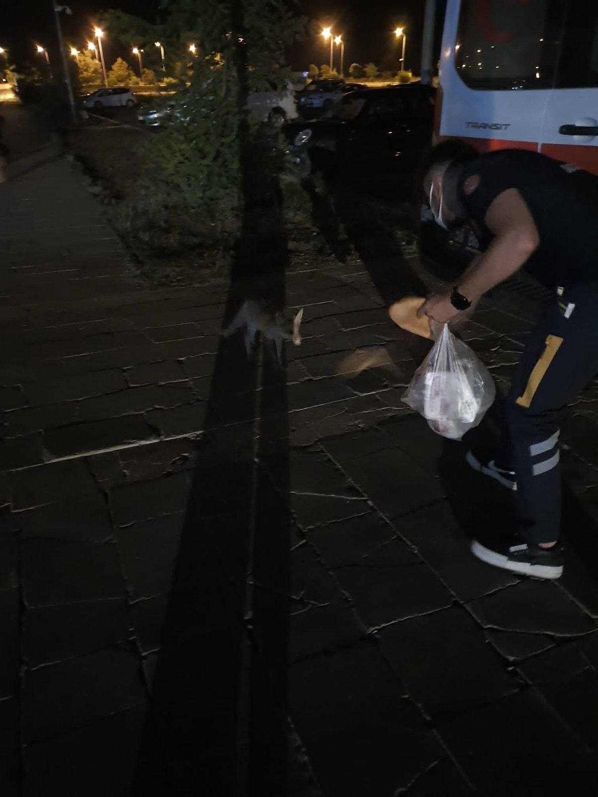 Sivas'ta aç tilkiyi elleriyle beslediler