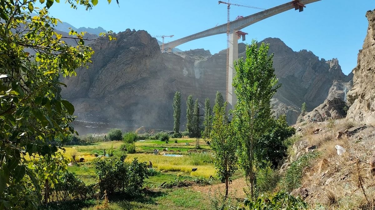 Artvin'de son çeltik hasadına başlayan köylüler duygusal anlar yaşadı