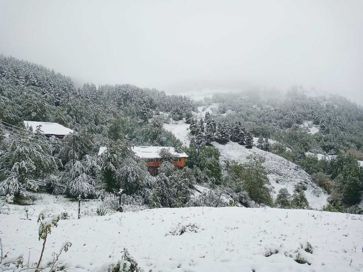 Artvin’de yaylalar beyaza büründü