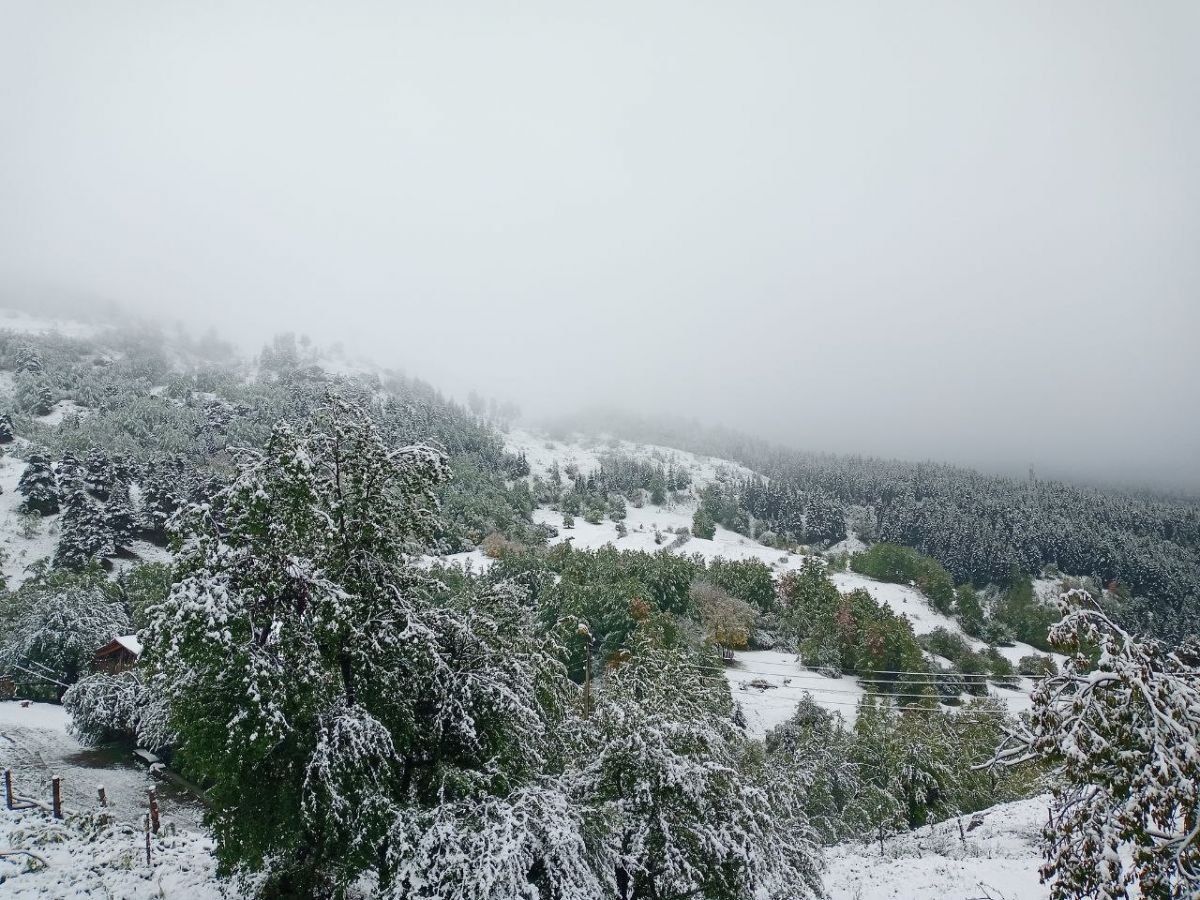 Artvin’de yaylalar beyaza büründü