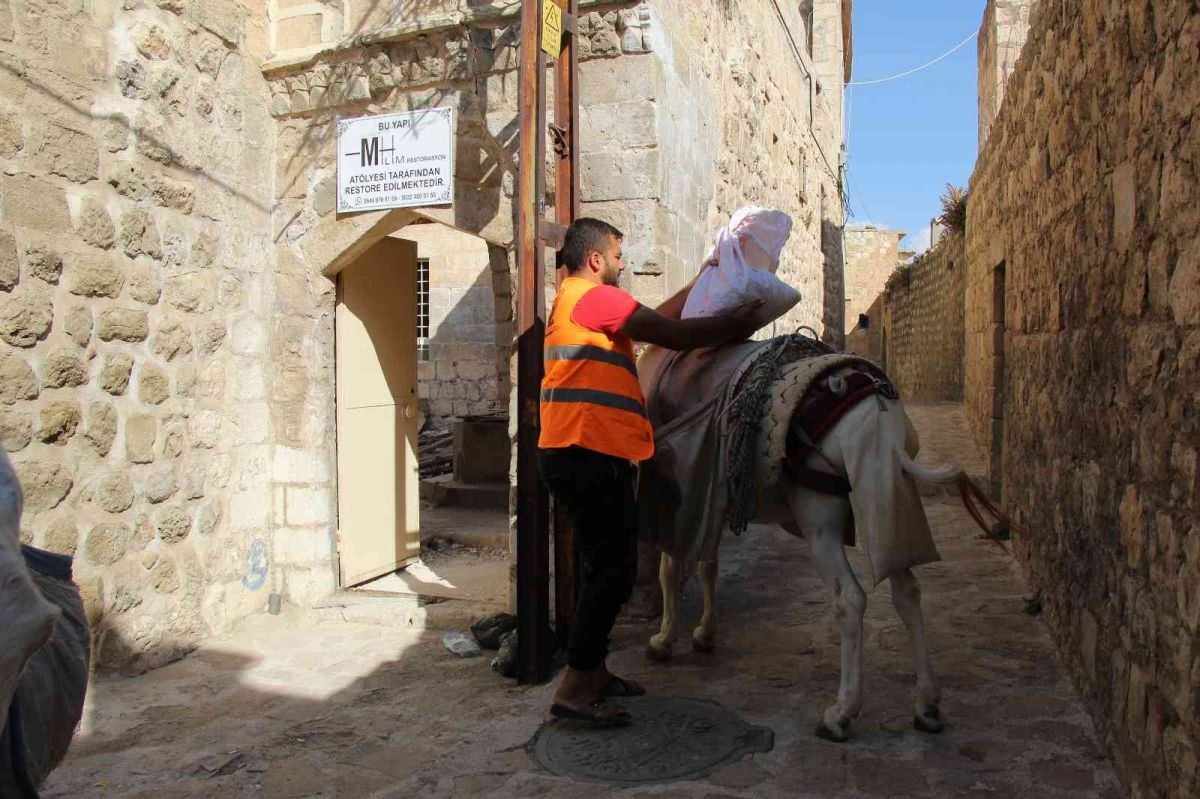 Mardin'de eşekler, restorasyon çalışmalarında da mesaide