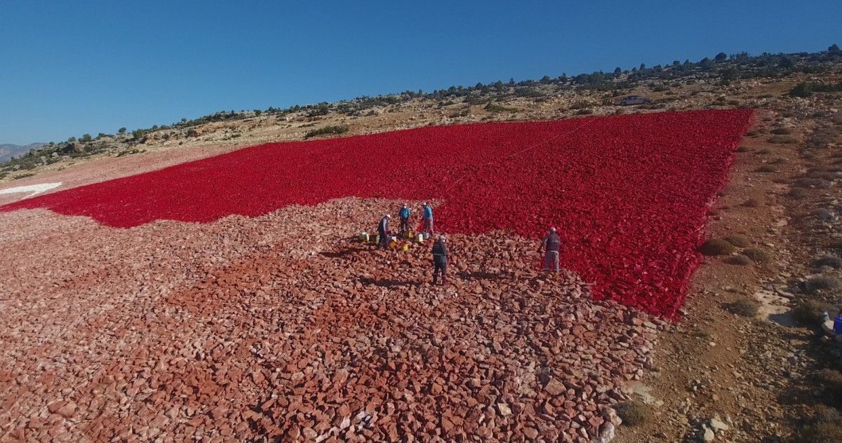 Mersin'de zemine işlenmiş en büyük Türk bayrağı boyanıyor