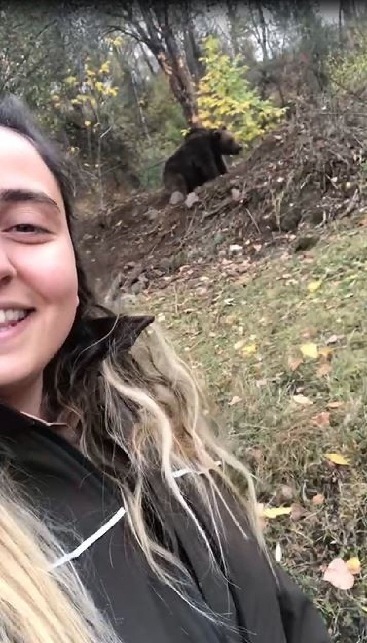Artvin'de ayı ile selfie çekti