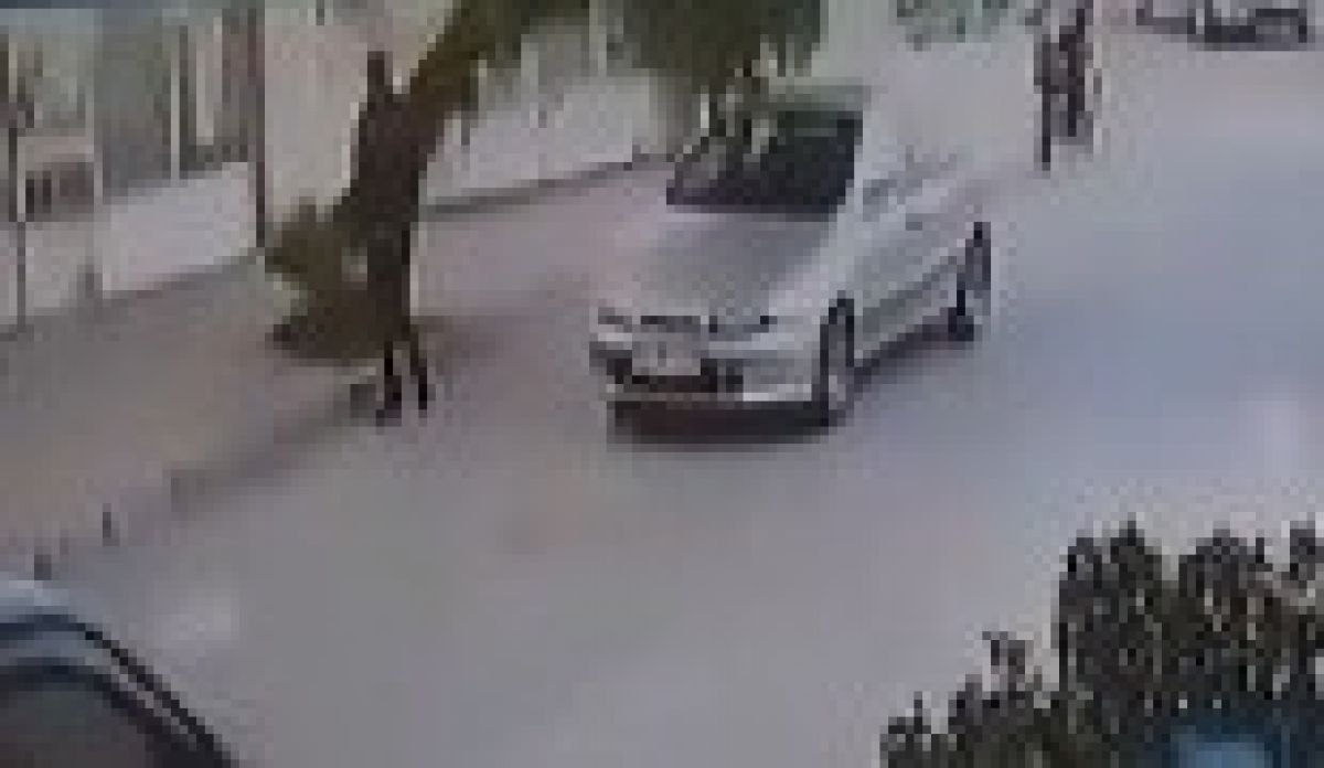 İzmir'de bir kişi devrilen ağaçtan kıl payı kurtuldu
