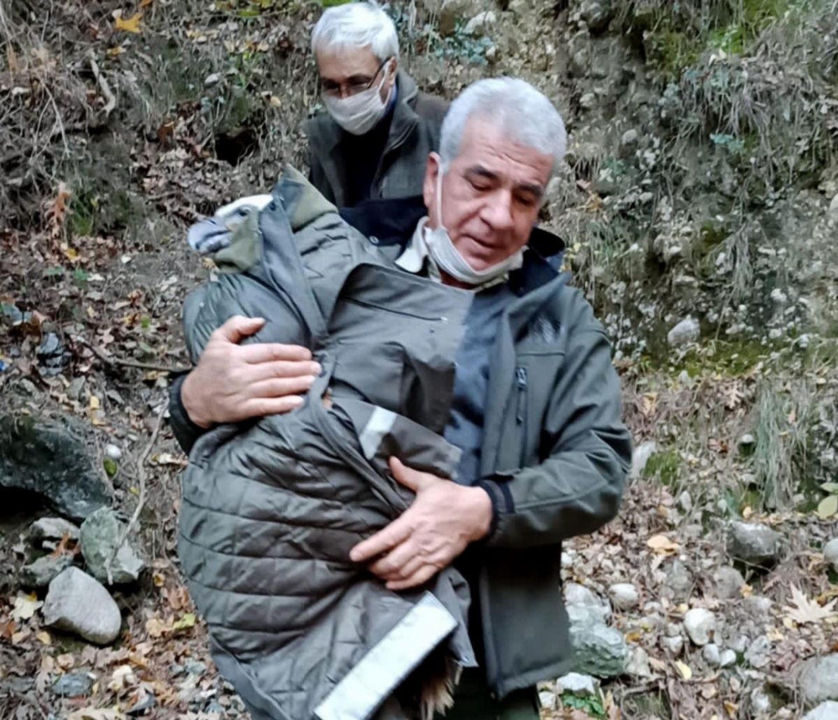 Osmaniye'de bir görevli, bitkin halde bulduğu akbabayı kurtardı