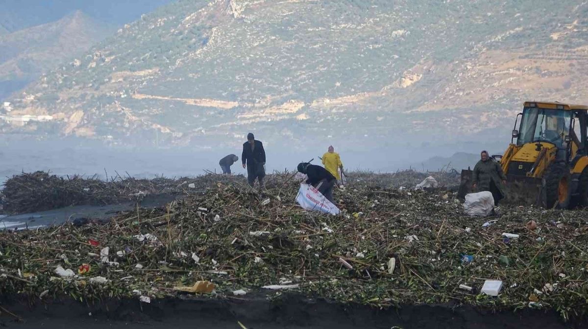Hatay'da sahile vuran odunlar kışlık yakacakları oldu