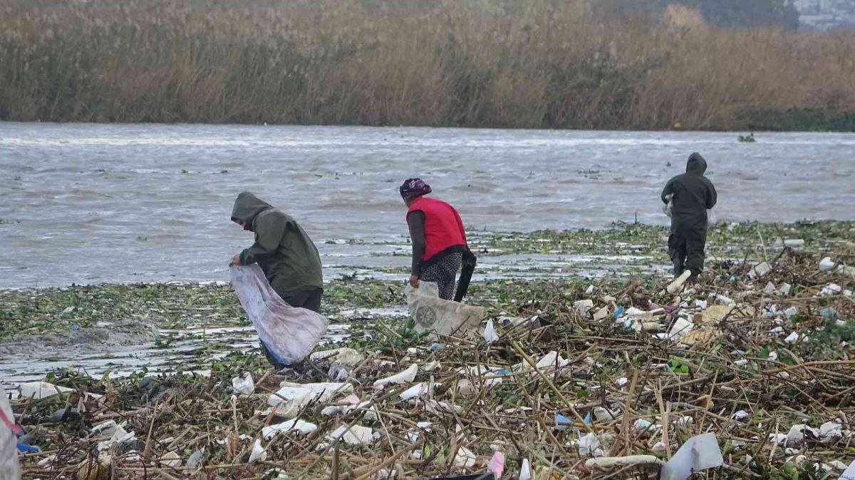 Hatay'da sahile vuran odunlar kışlık yakacakları oldu