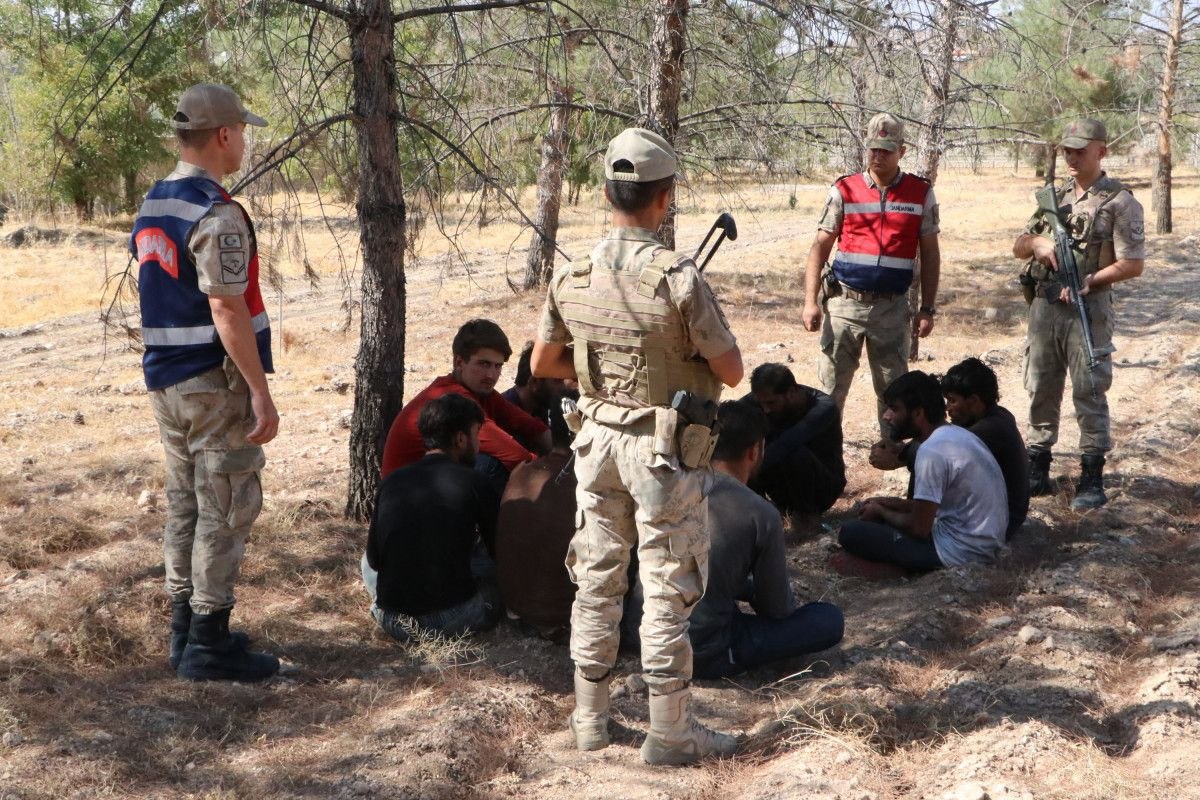 Şanlıurfa'da fıstık bahçesinde saklanan 28 kaçak göçmen yakalandı