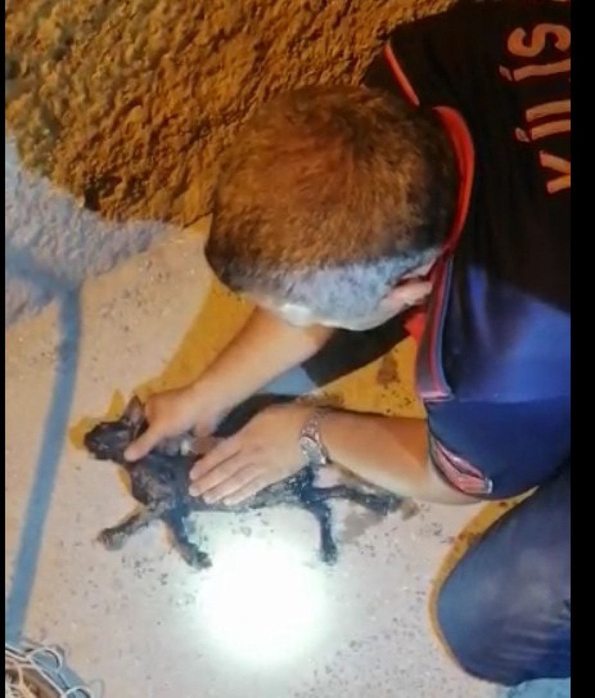 Kilis'te kuyuya düşen yavru kedi kalp masajıyla hayata döndü