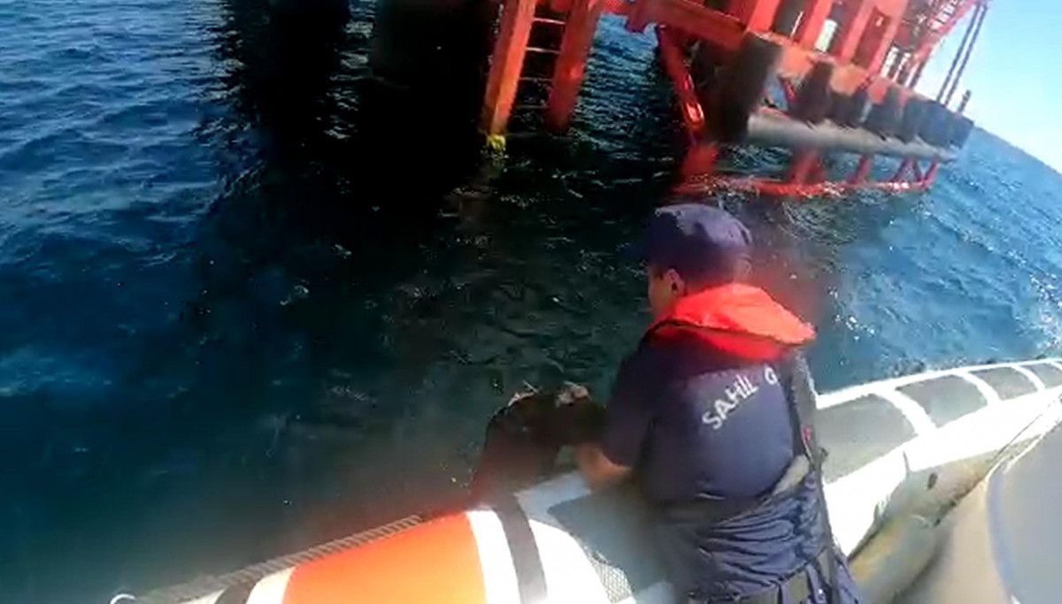 Tekirdağ'da denizde kaybolan köpeği Sahil Güvenlik kurtardı