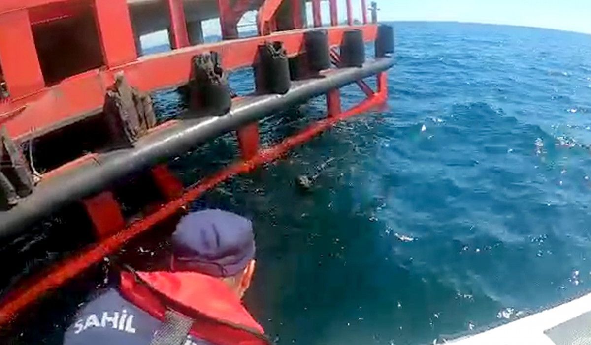 Tekirdağ'da denizde kaybolan köpeği Sahil Güvenlik kurtardı