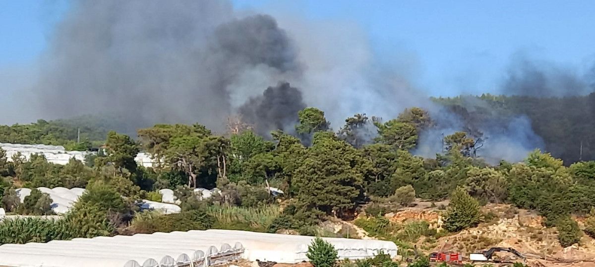 Antalya'da orman yangını