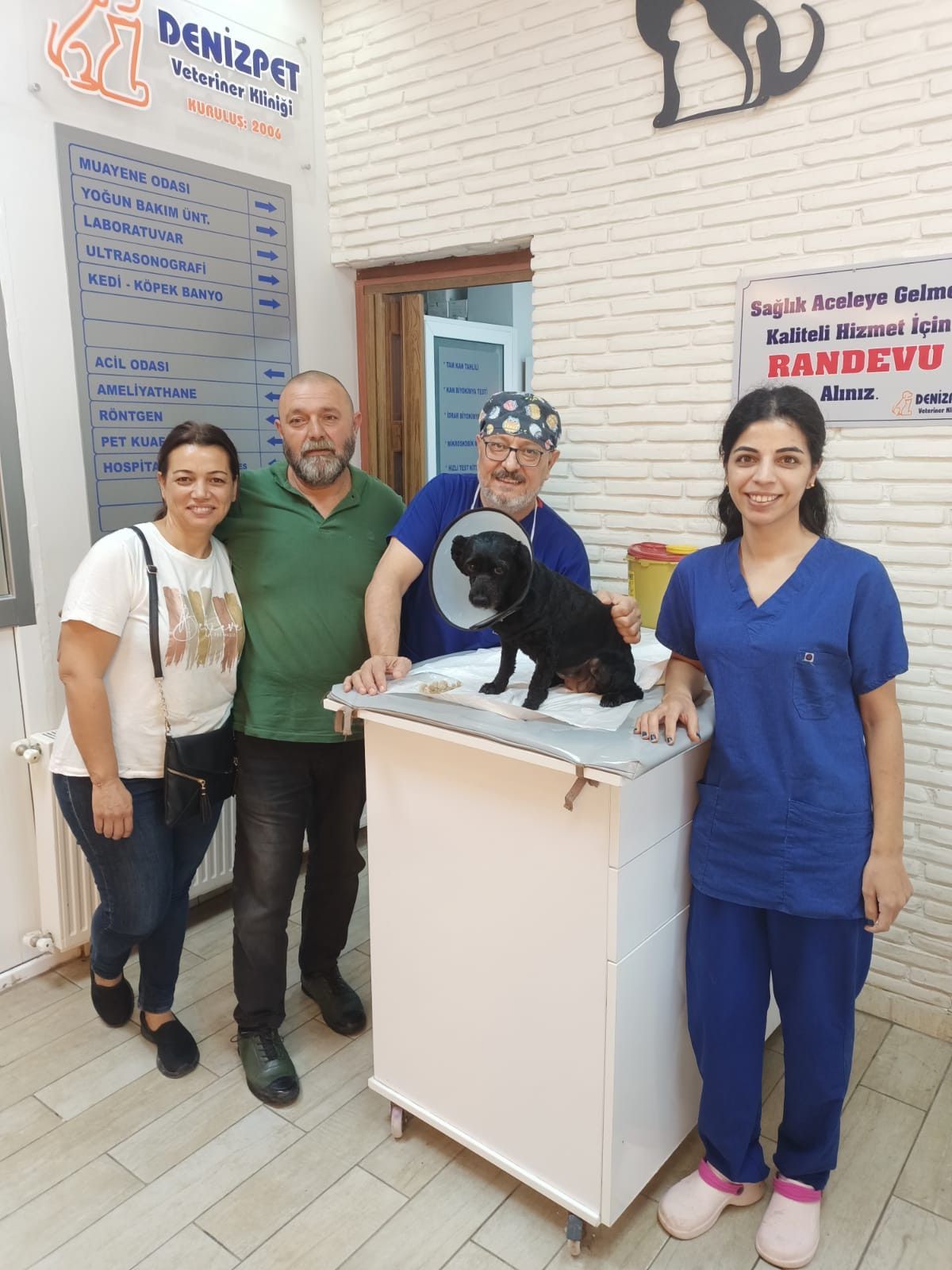 Adana'da 'Biber' isimli köpeğin mesanesinden 55 parça taş çıktı
