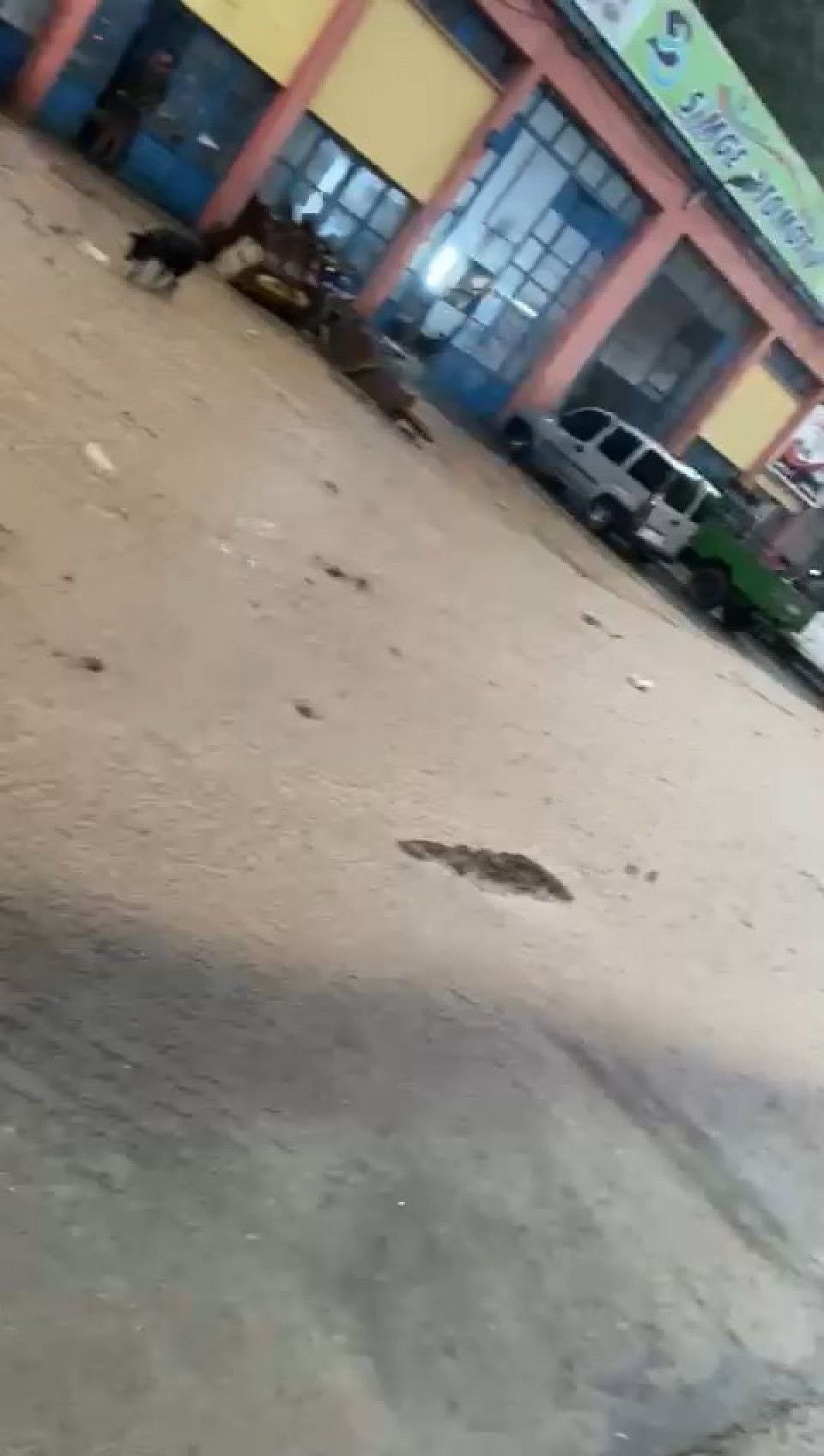 Artvin'de sağanak: Ev ve iş yerlerini su bastı