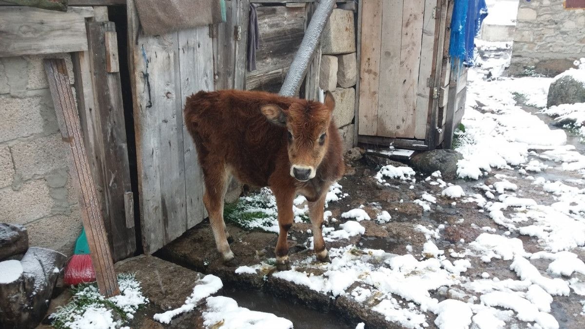 Rize'de yaylalara kış geldi