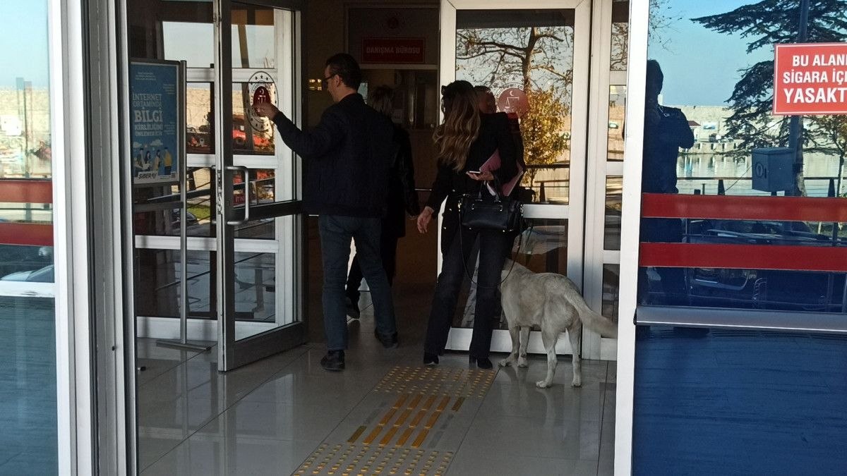 Zonguldak'ta köpek adliyeye girmeye çalıştı