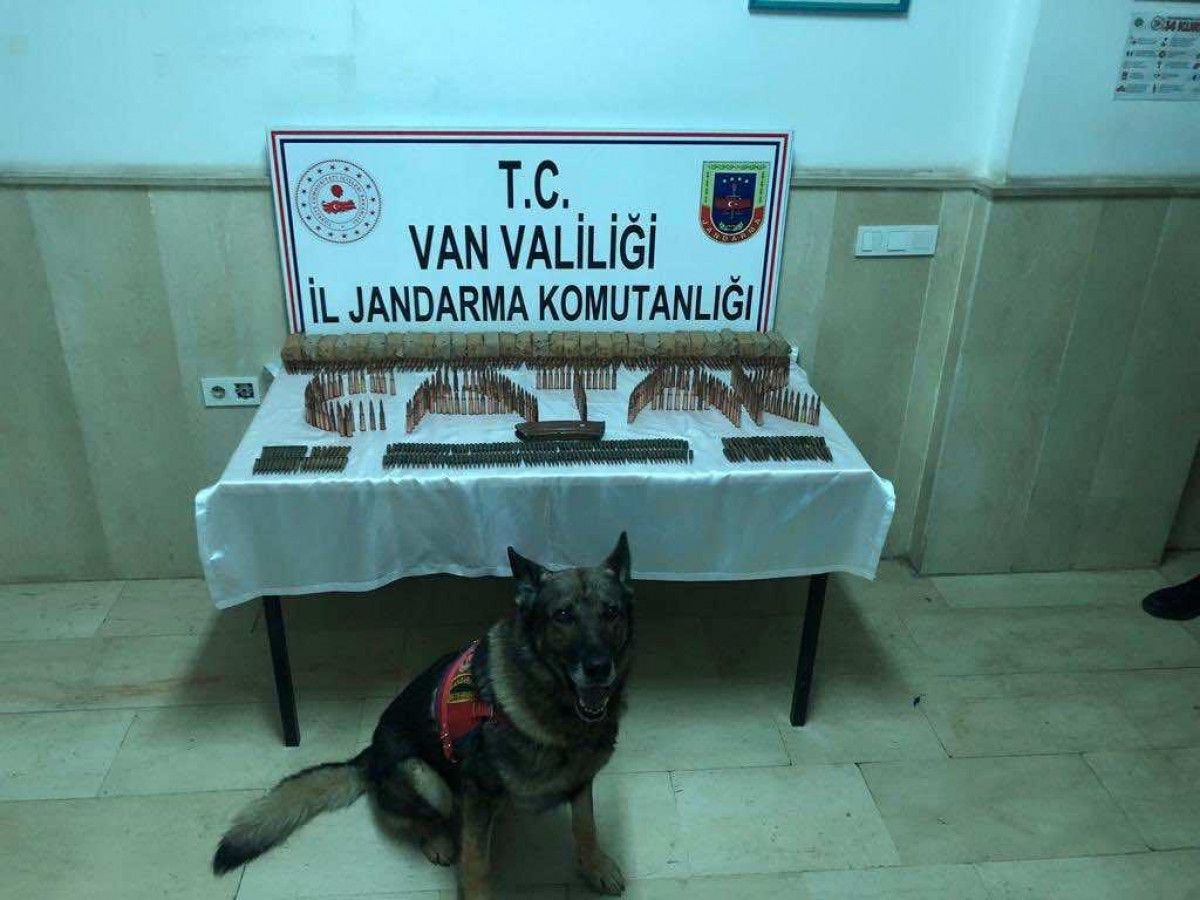 Van'da PKK sığınağında mühimmat ele geçirildi