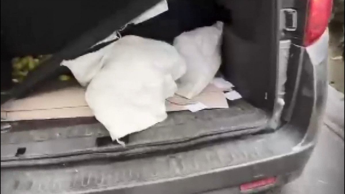 Şişli'de aracının bagajındaki çuvaldan kedi çıkan 2 kişinin cezası belli oldu