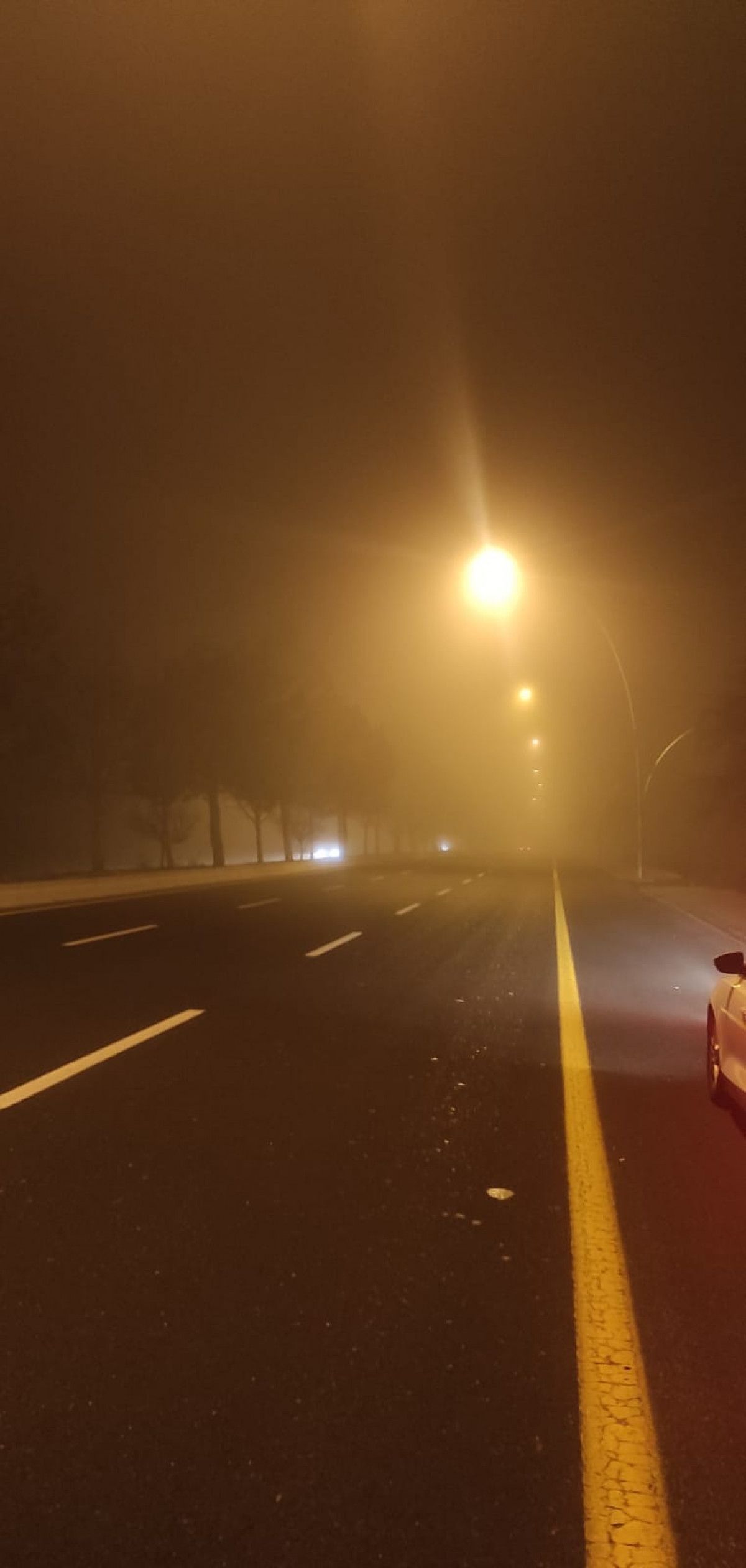 Ankara'da sis etkili oldu