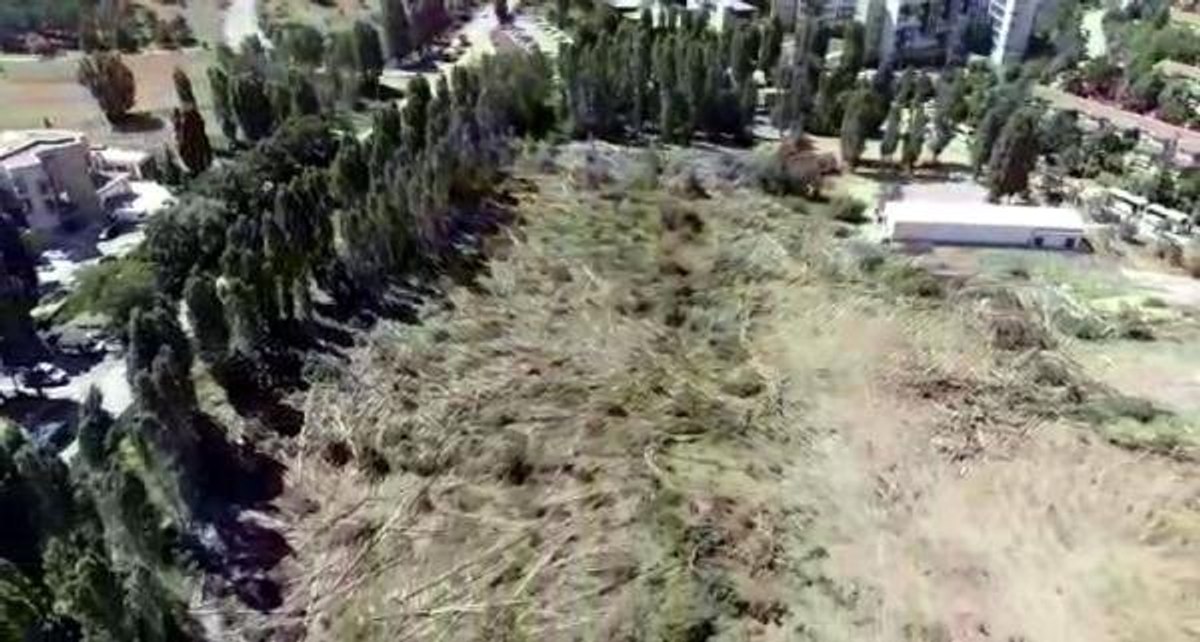 ODTÜ'de ağaçların kesildiği alanın havadan görüntüsü