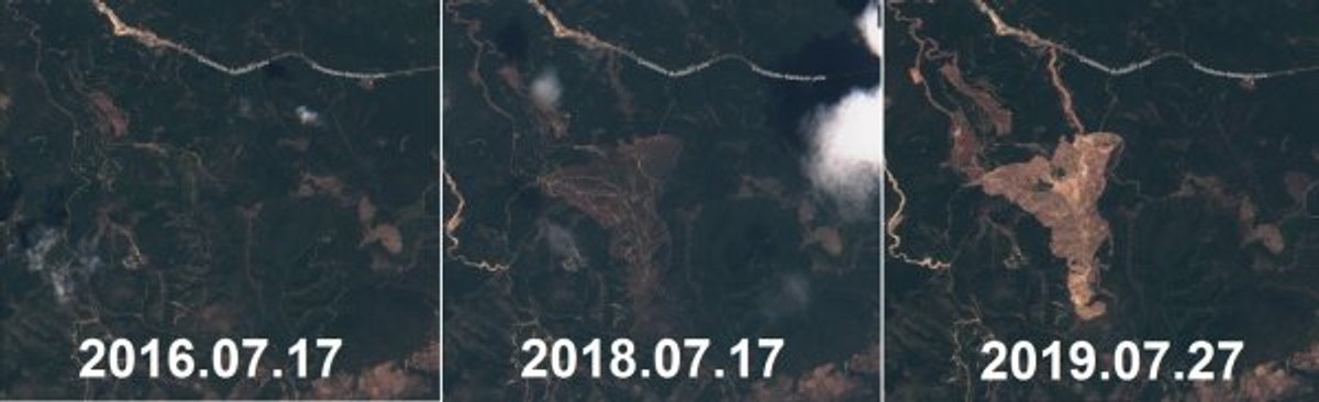 Kaz Dağları'ndaki ağaç kesimi için Bakanlık açıklama yaptı