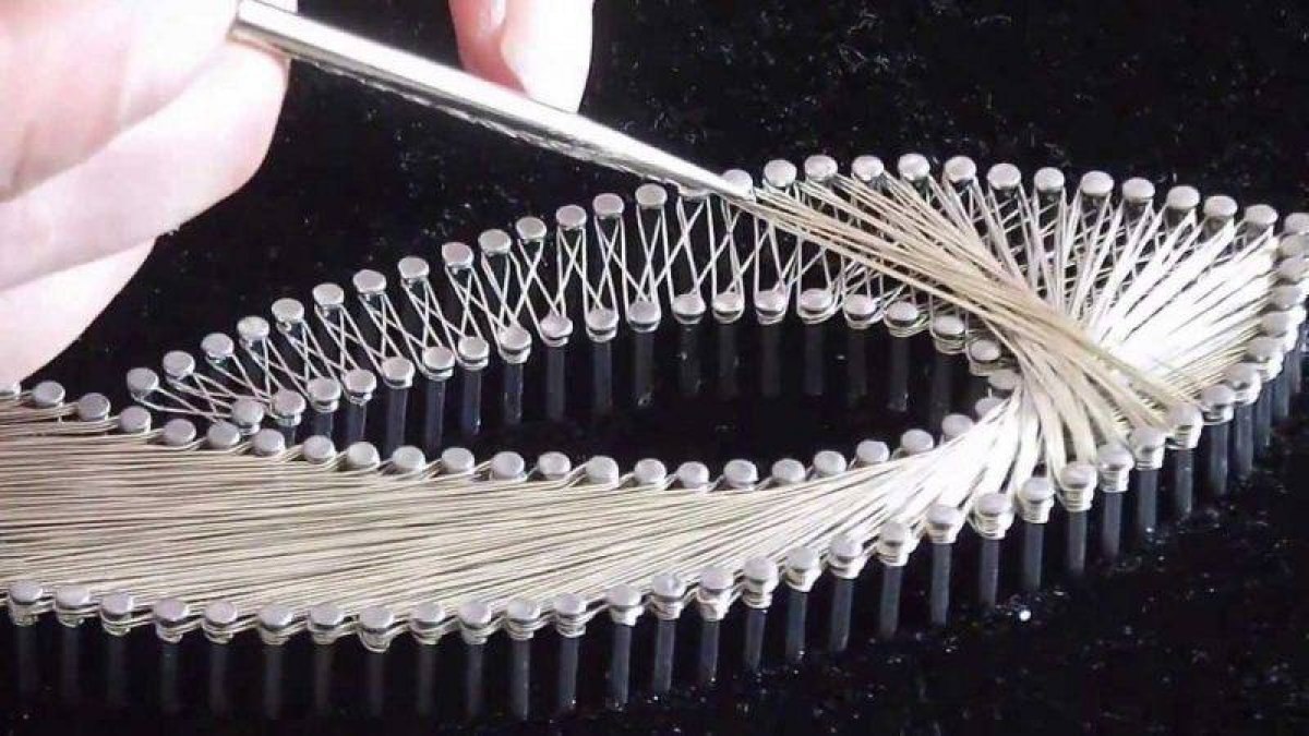 Filografi nedir