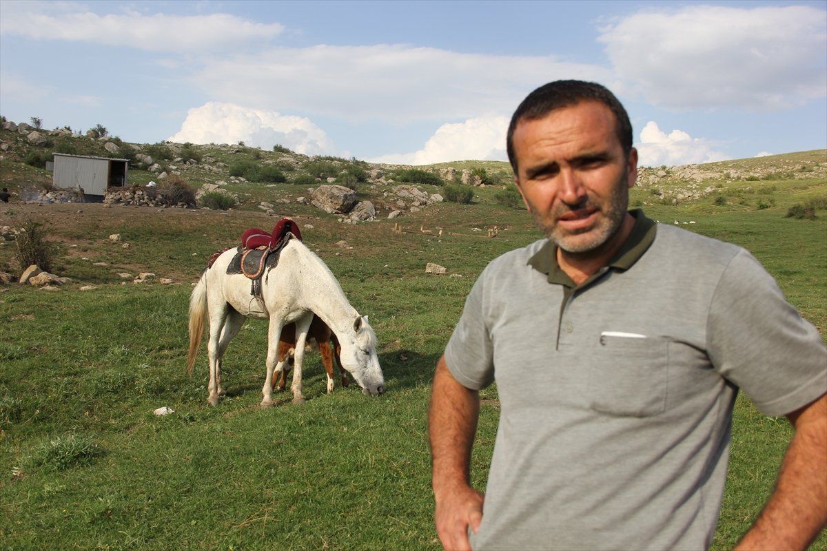 Sivas'ta annesiz danayı at emziriyor