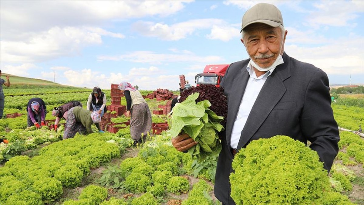 Ankara'da 74 yaşındaki adam, çalışma azmiyle örnek oluyor