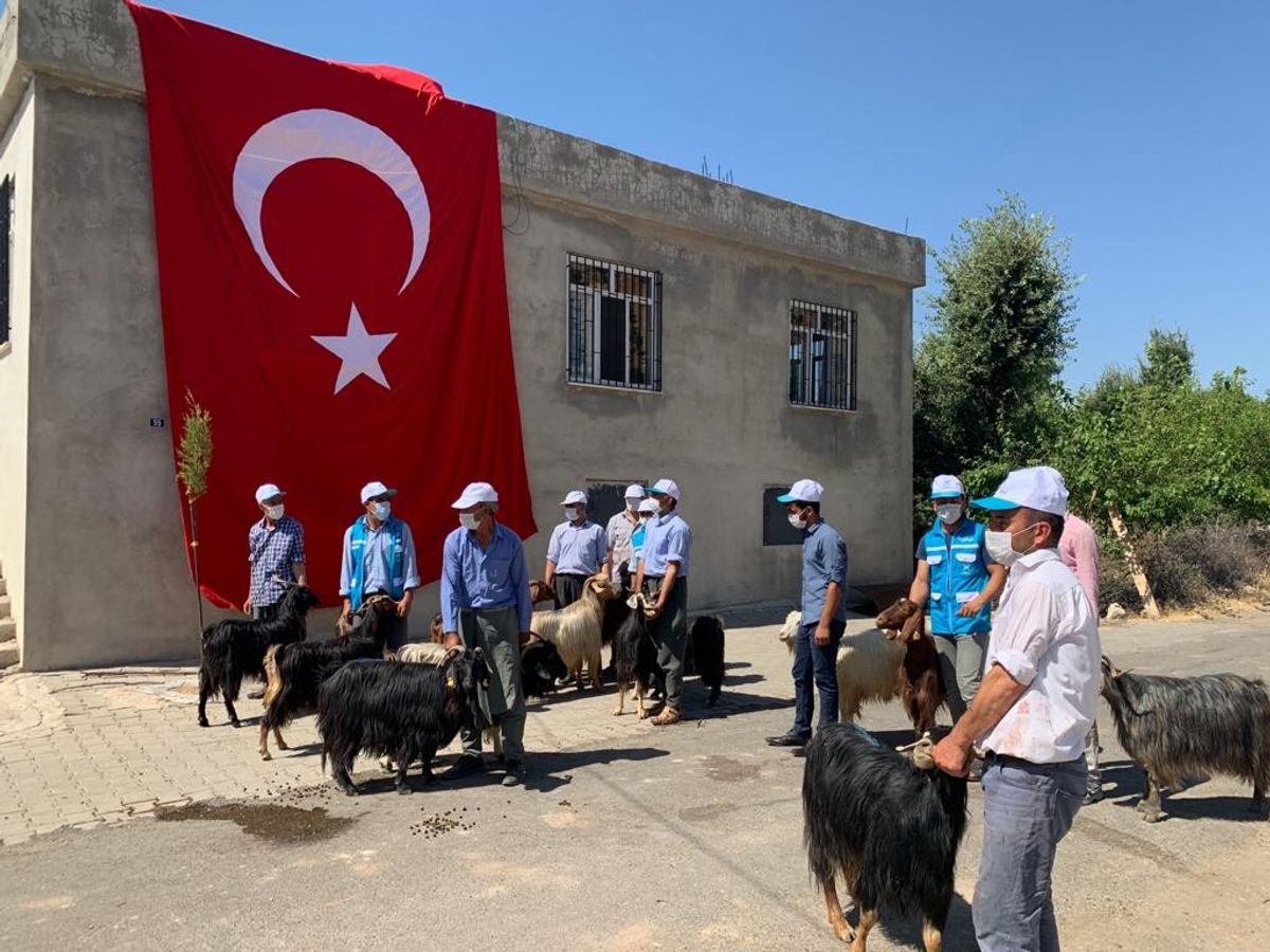 İbrahim Tatlıses, şehitler için 100 kurban kestirdi