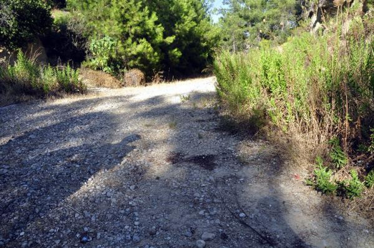 Antalya'da 8 yaşındaki kardeşini bıçaklayarak öldürdü