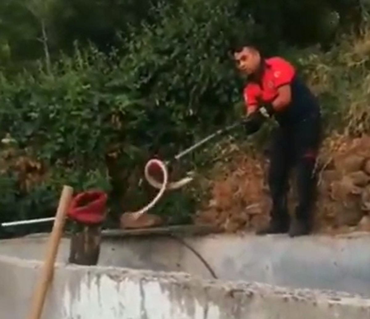 Denizli'de evin bahçesindeki yılan panik yaşattı