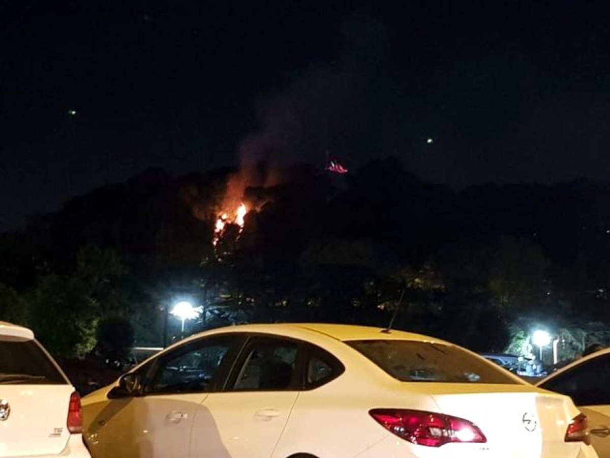 Emirgan Korusu'nda yangın çıktı