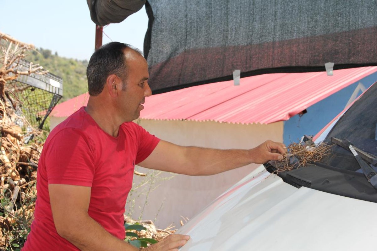 Mersinli çiftçi, kuş yuvası olan kamyonetini kullanmıyor