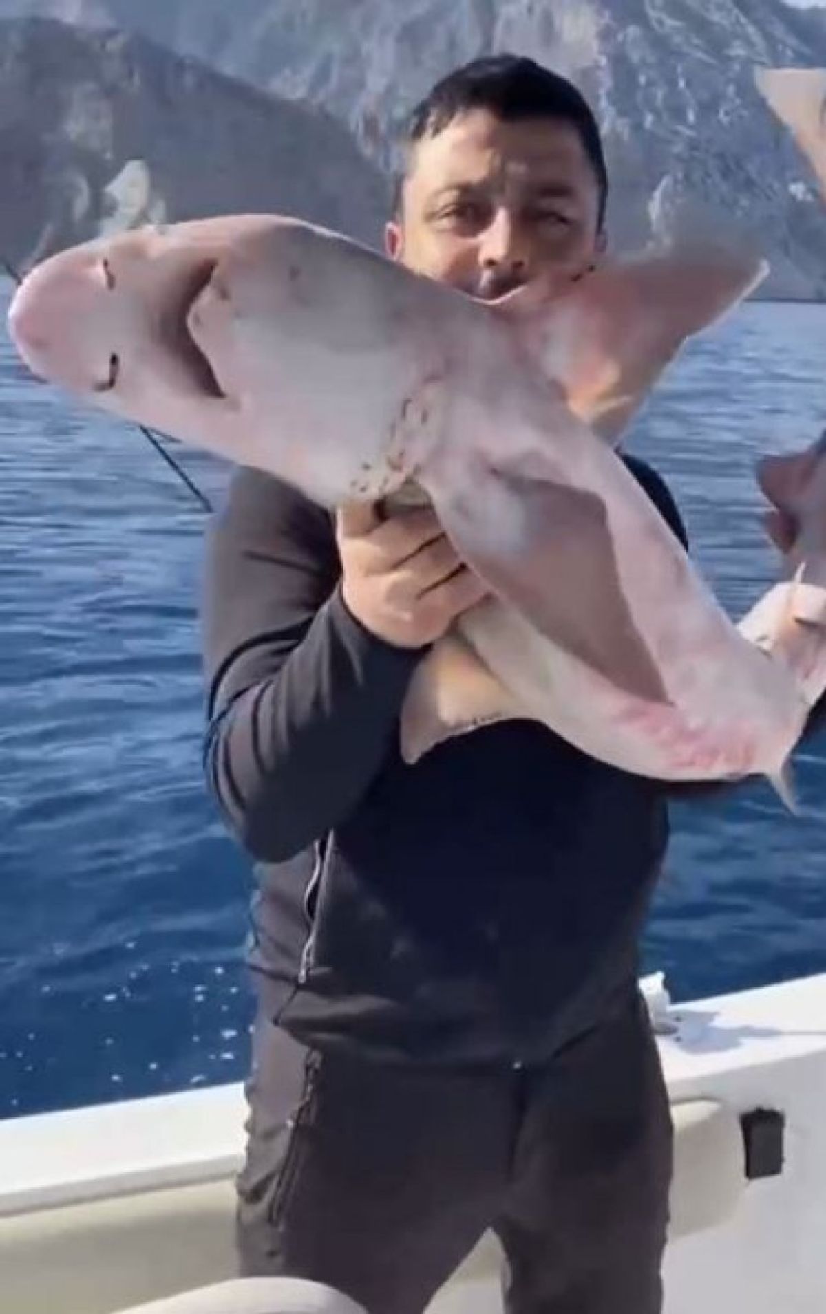 Antalya'da balıkçıların oltasına köpek balığı takıldı