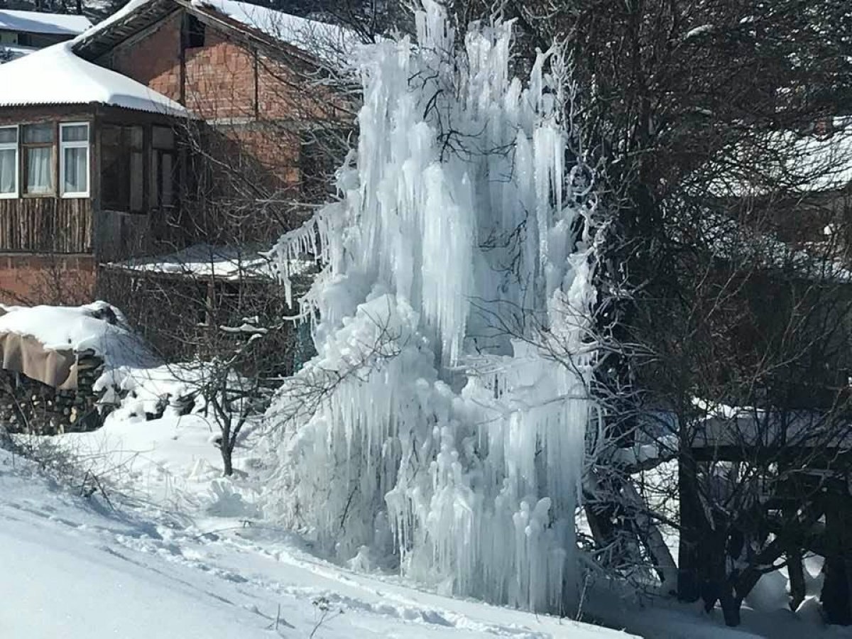 Tokat'ta patlayan su borusu ağaca dönüştü