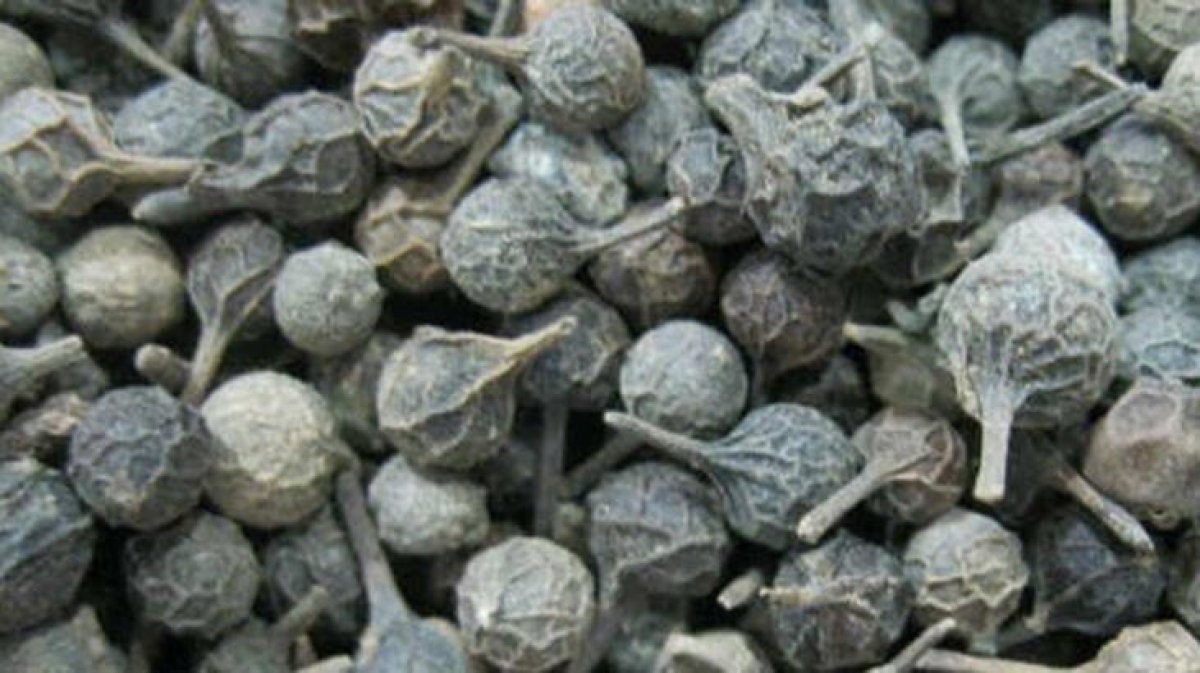 Kebabe nedir, faydaları nelerdir, hangi hastalıklara iyi gelir? Kebabe çayı nasıl yapılır?