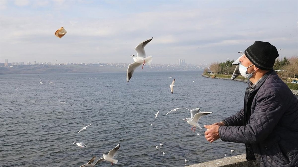 İstanbul'da çöpten topladığı ekmeklerle her gün kuşları besliyor