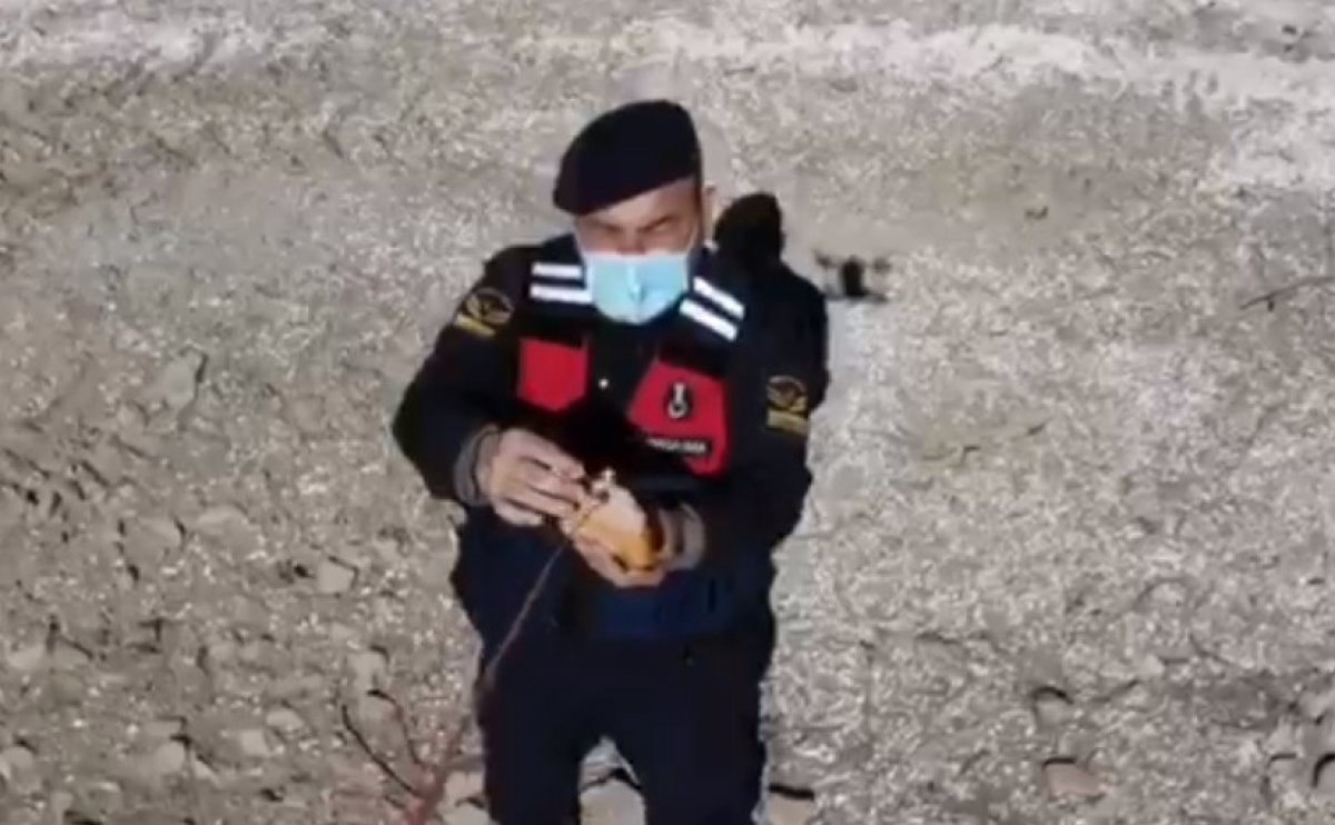 Elazığ'da jandarma yaban hayvanlarını besledi