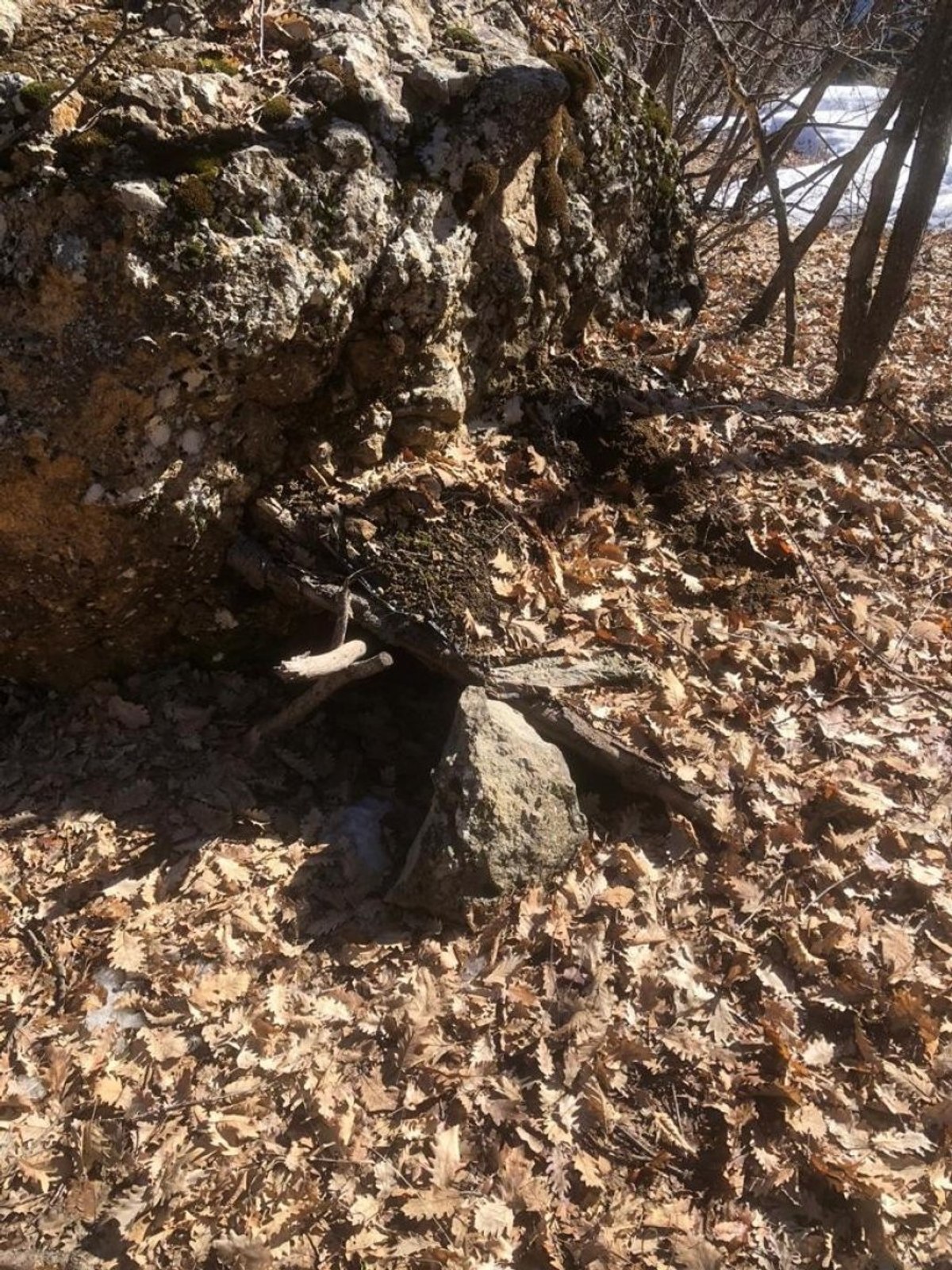 Tunceli'de PKK'ya ait 5 sığınak tespit edildi
