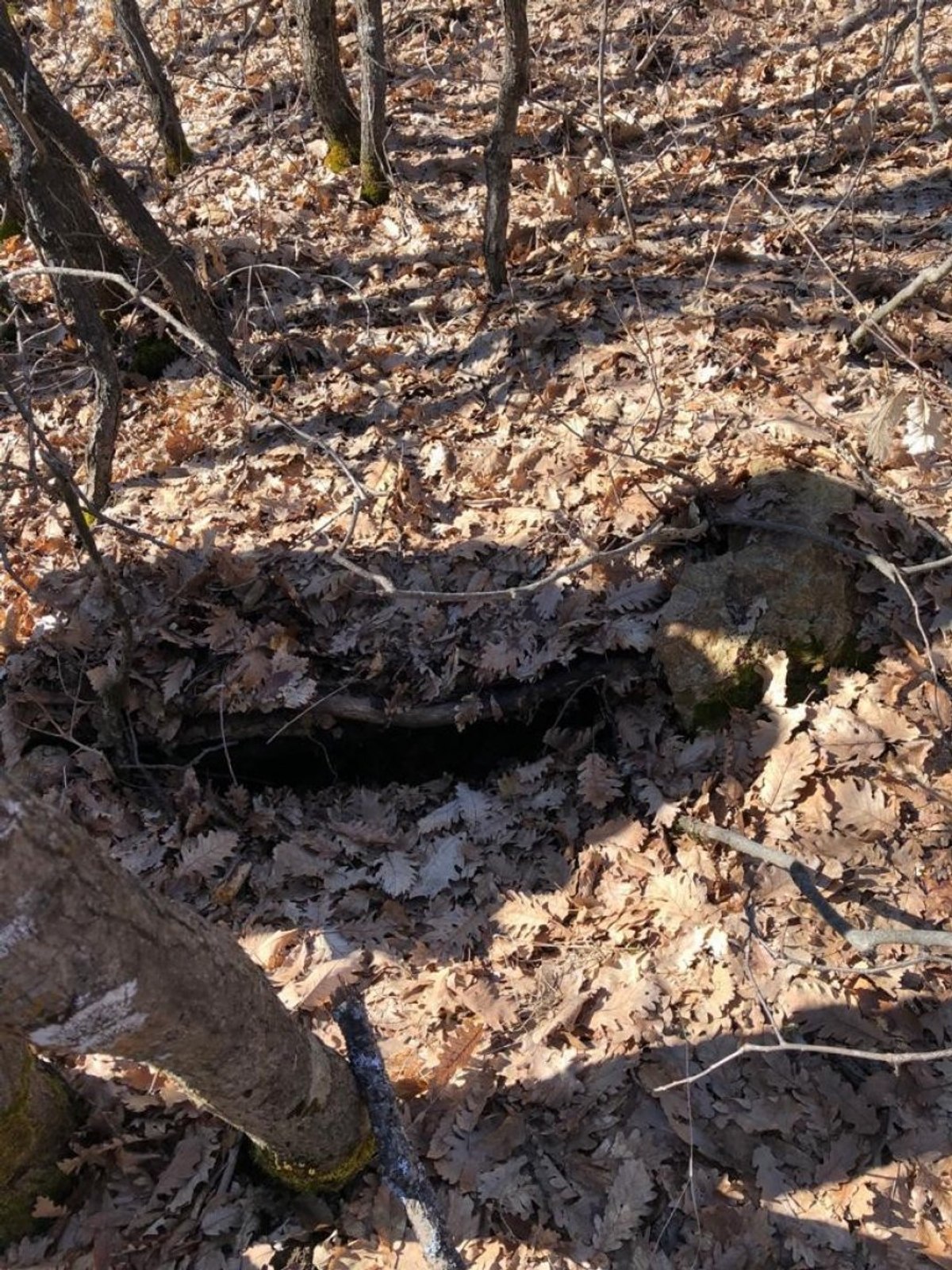 Tunceli'de PKK'ya ait 5 sığınak tespit edildi