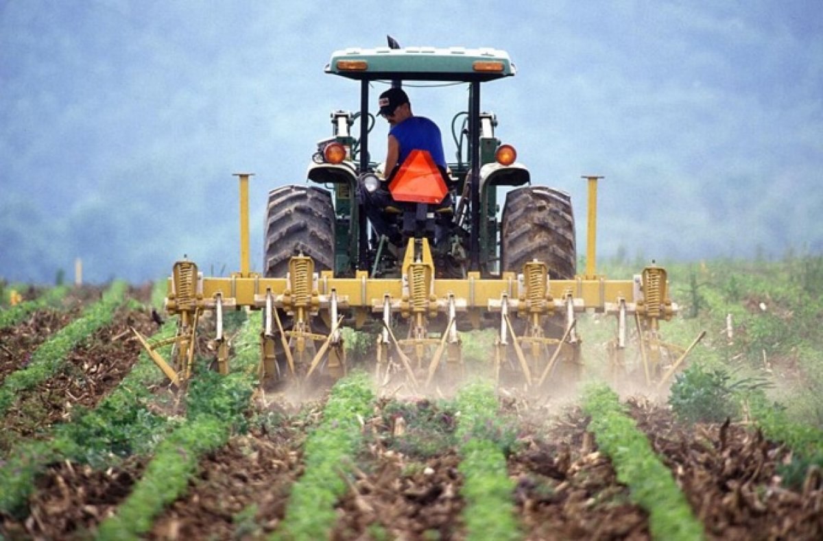 Çiftçi belgesi nasıl alınır? Çiftçi Kayıt Sistemi belge sorgulama ekranı 2021