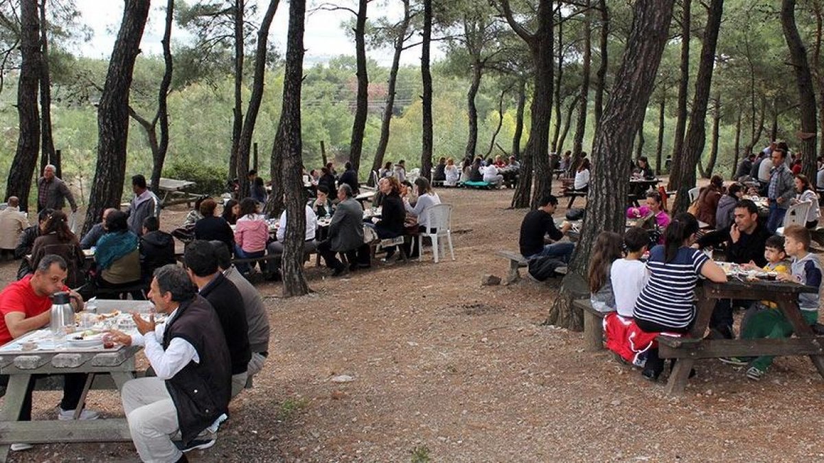 Piknik yapmak yasak mı? Mesire alanları açık mı, kapalı mı?