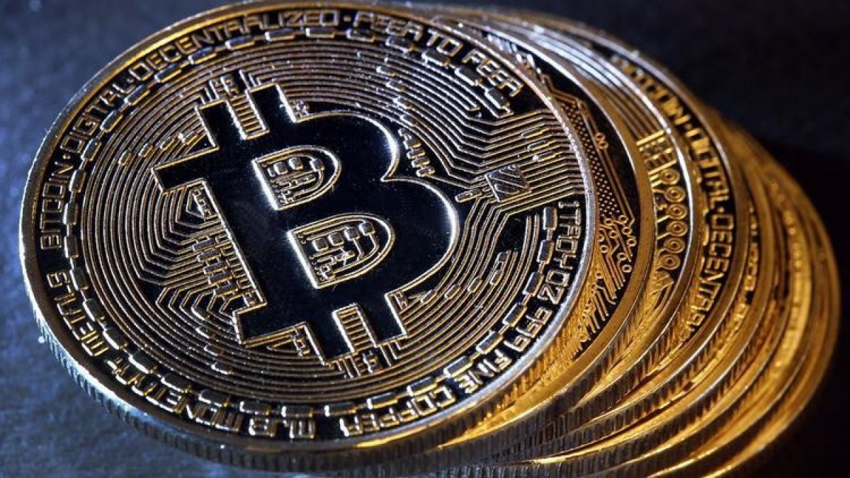 Pitbull Coin nedir? Pitbull (PIT) Coin hakkında merak edilenler..