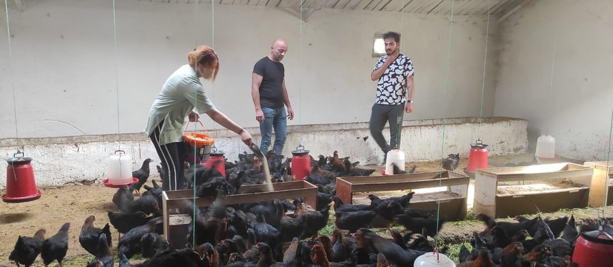 Yozgat’ta üniversiteyi bırakıp, tavuk çiftliği kurdu