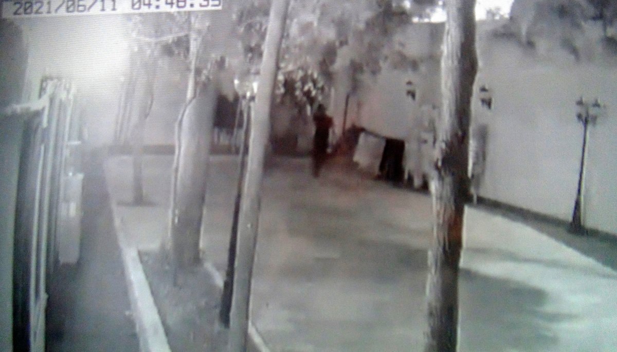 Şanlıurfa’da bahçeye giren hırsız, bıldırcın kuşlarını çaldı
