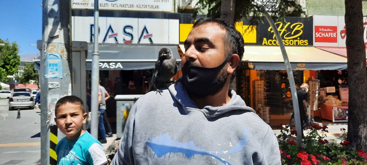 Niğde'de beslediği karga, omuzundan inmiyor